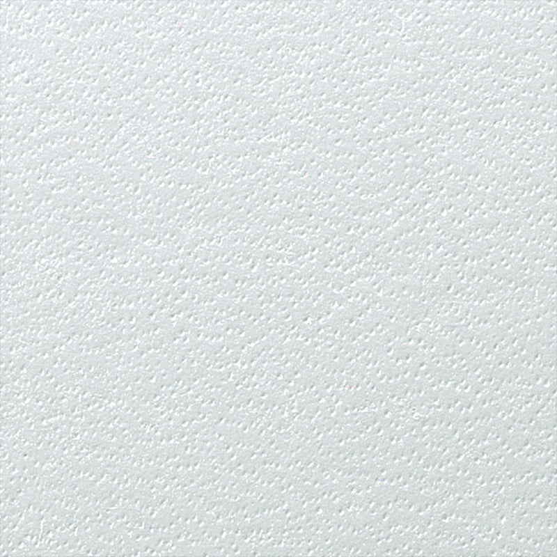 GBC ReGency™ Binding Cover A4 325 gsm - Packs of 100